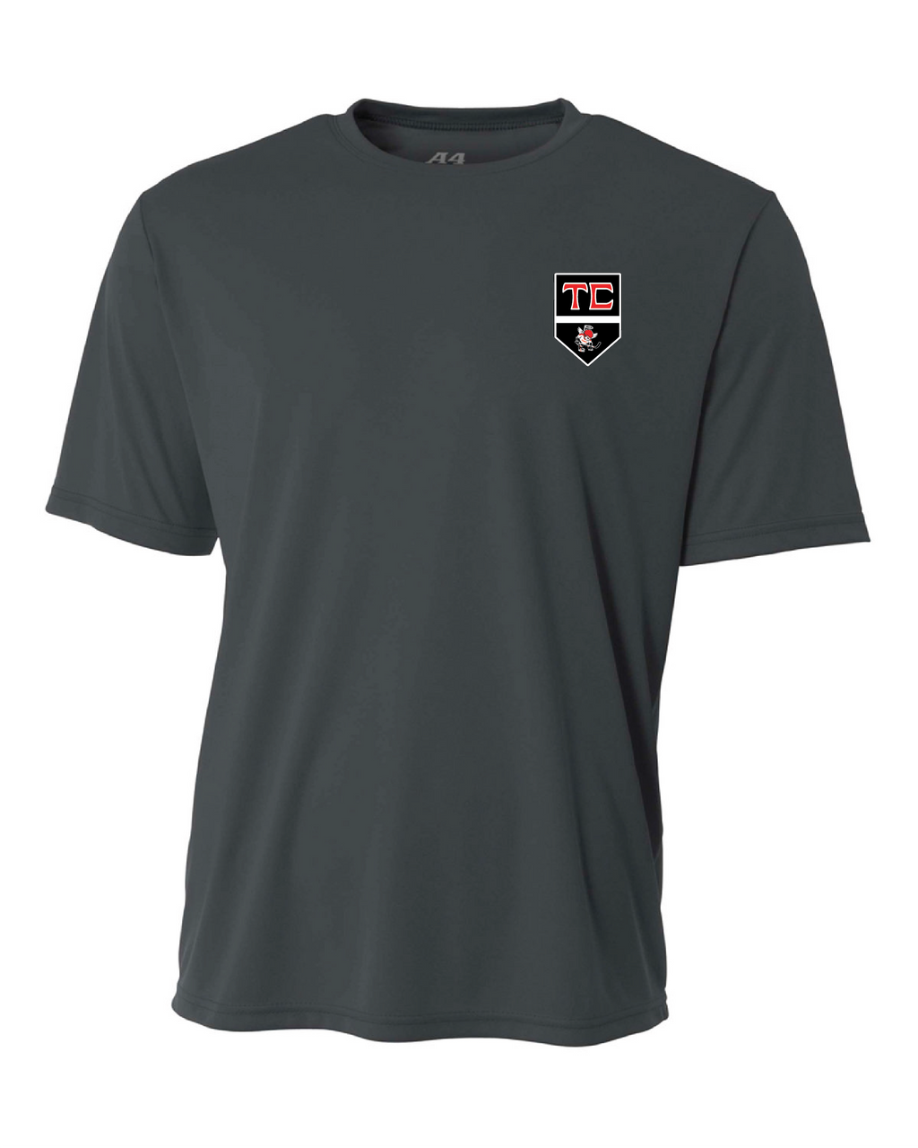 TCS SAINTS GRAPHITE SS TEE